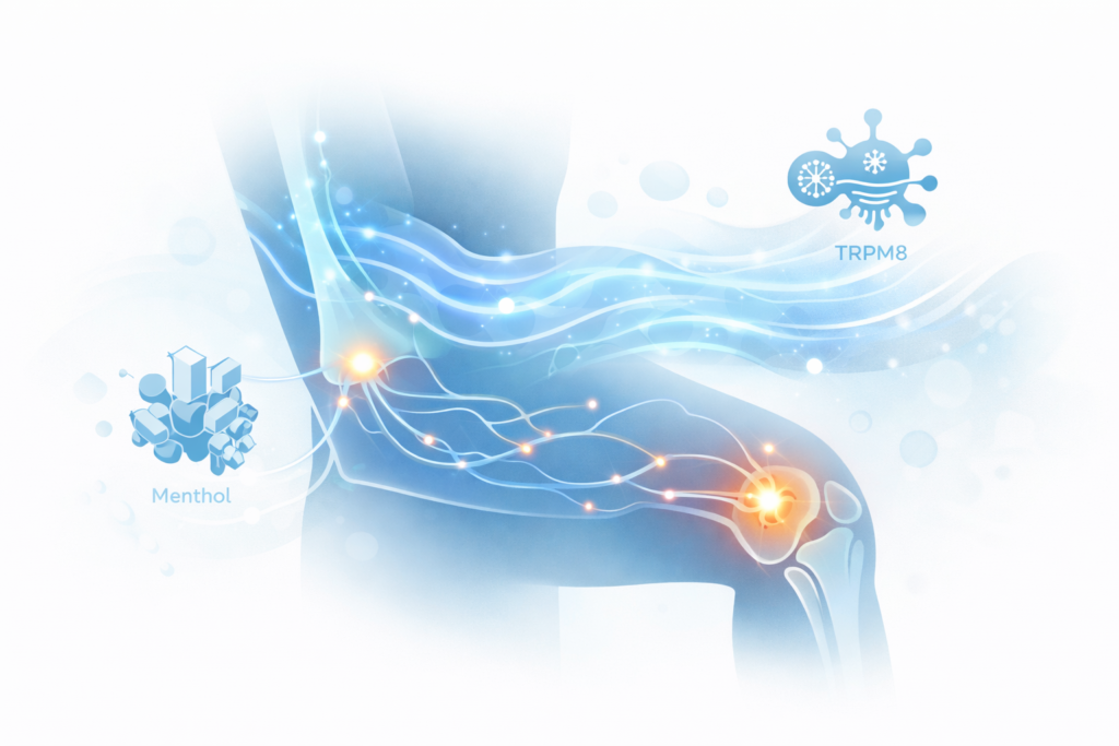 Illustration showing how cooling sensations interact with sensory nerves for topical pain relief.